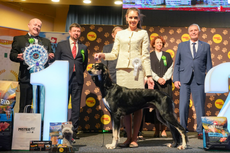 LH503483_hajekphotography.cz