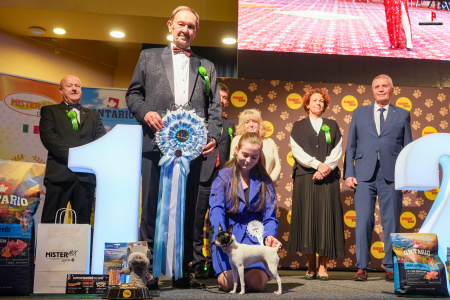 šampion šampionů 2026