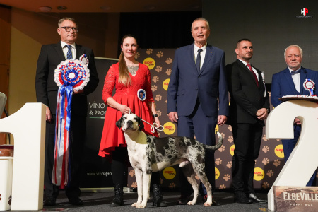 Šampion šampionů 25. 1. 2025