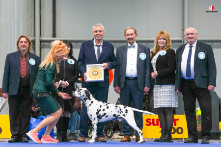 výběr reprezentantů na WORLD CHALLENGE 2026